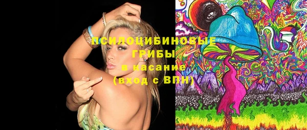 mix Няндома