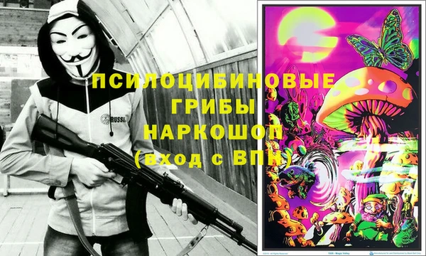 mix Няндома