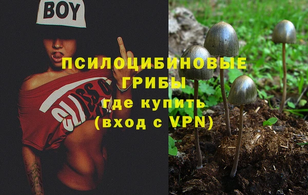 mix Няндома