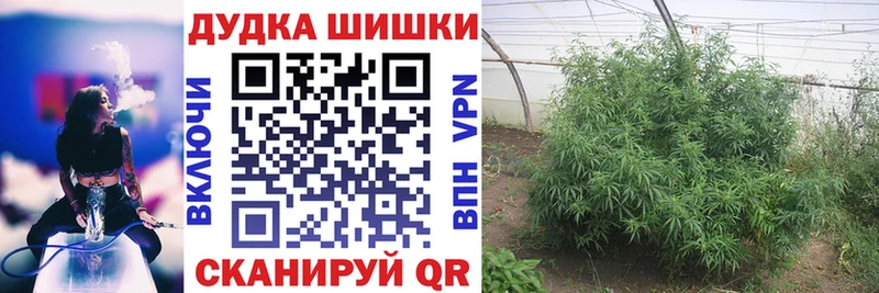 хочу   Семикаракорск  Марихуана тримм 